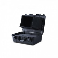 MONITEUR RUIGE 20" VALISE